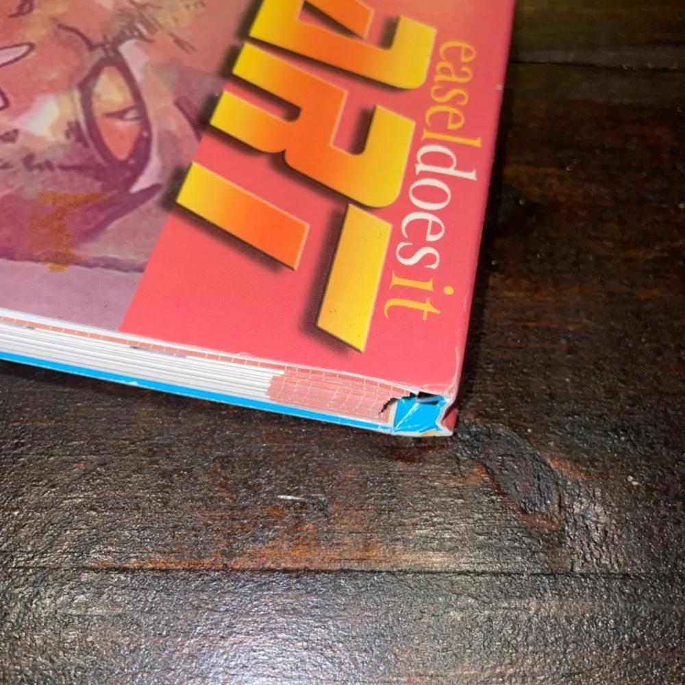 Manga Art Easel Does It Spiral bound Paperback Book Ashe Raven May‎ Li Drawing